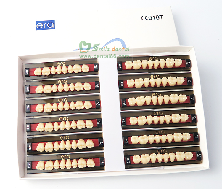 SDT-R102 Three Layer Acrylic Resin Teeth
